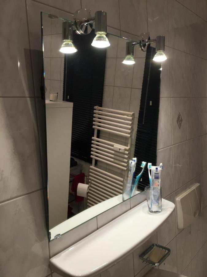 Apartament Auf Der Zschopau-Insel Zewnętrze zdjęcie