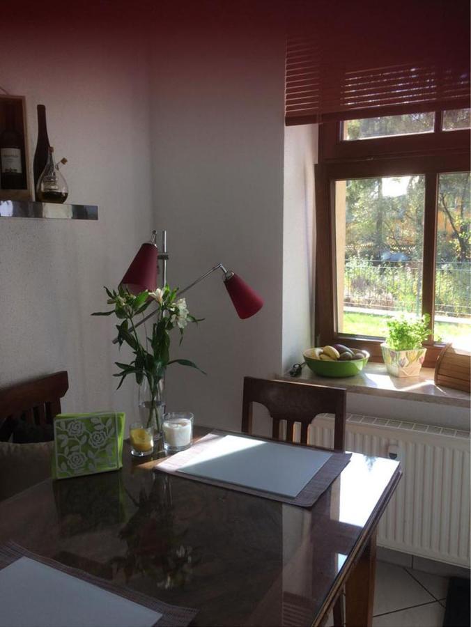 Apartament Auf Der Zschopau-Insel Zewnętrze zdjęcie