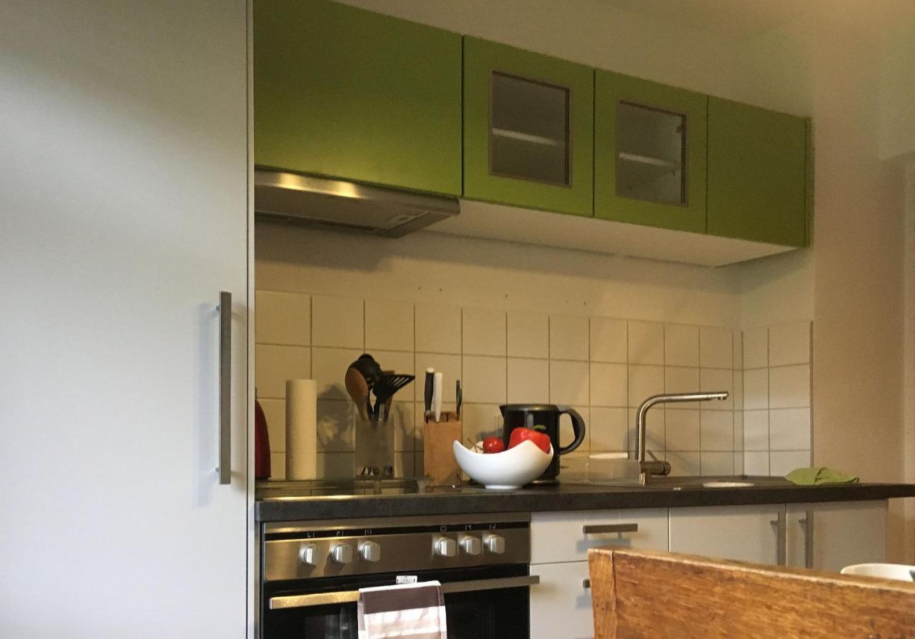 Apartament Auf Der Zschopau-Insel Zewnętrze zdjęcie