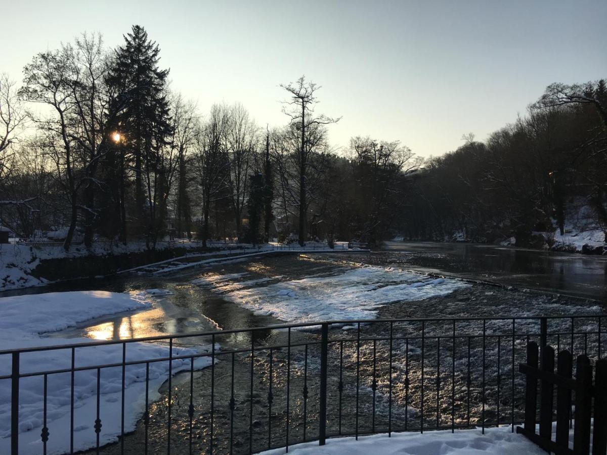 Apartament Auf Der Zschopau-Insel Zewnętrze zdjęcie