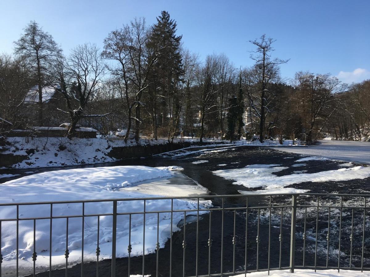 Apartament Auf Der Zschopau-Insel Zewnętrze zdjęcie